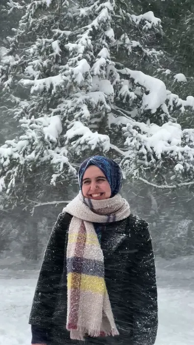 Let It Snow
