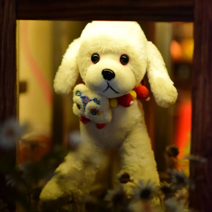 Plush Toy
