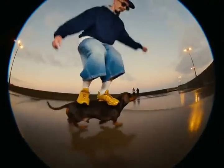 Skatedog
